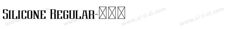 Silicone Regular字体转换 Silicone Regular字体转换